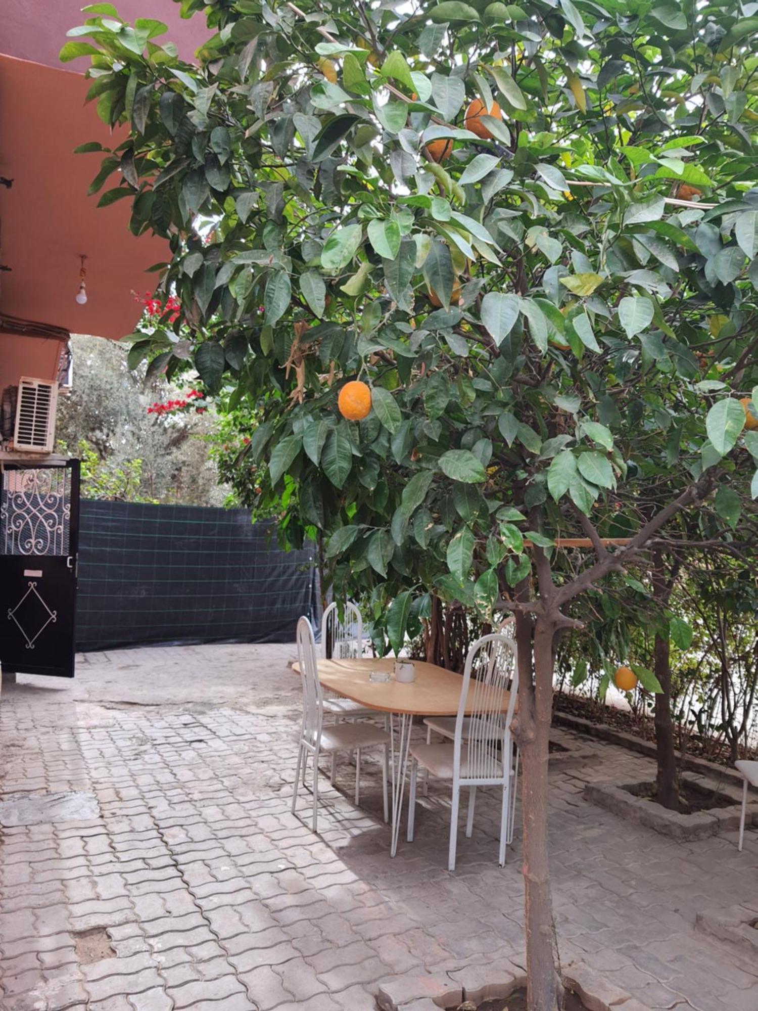 Appartement Marrakech Marrakesh